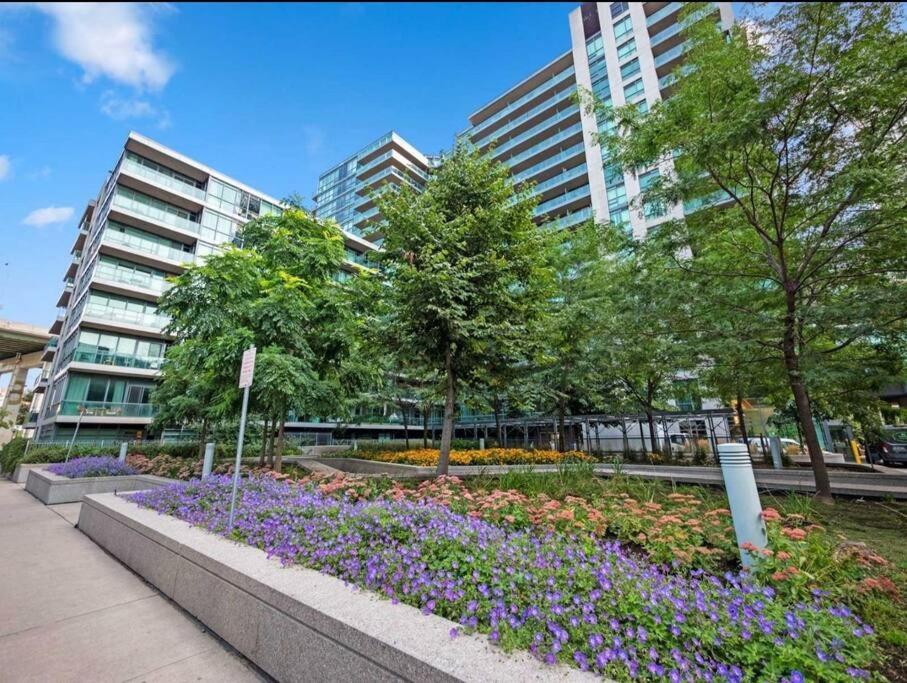 Cn Tower View With Free Parking, Pool, & More Amenities โตรอนโต ภายนอก รูปภาพ